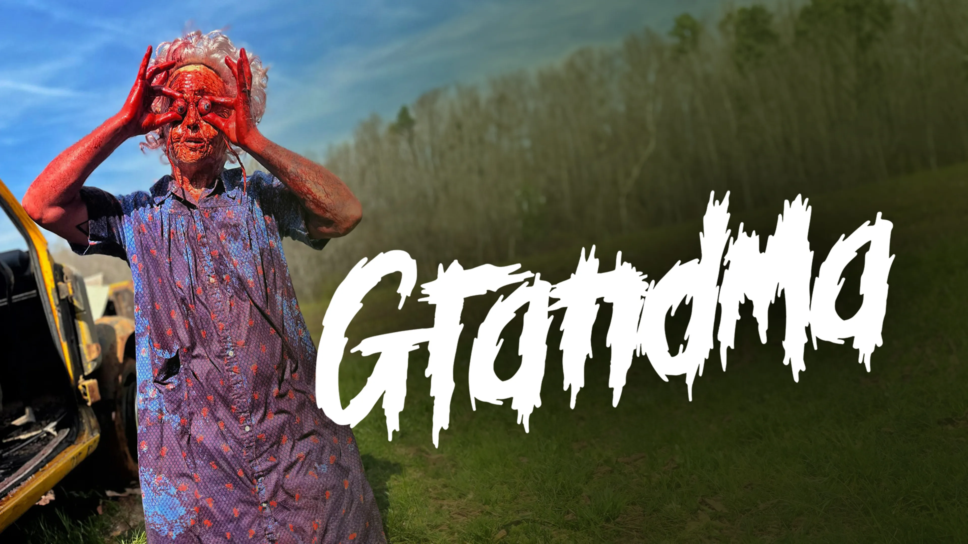 Grandma poster
